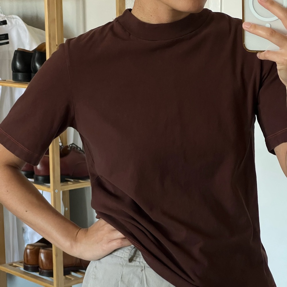 Everlane Chocolate Brown Mockneck Tee